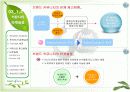 [브랜드마케팅]시장점유율 향상을 위한 '이니스프리' 브랜드마케팅 전략방안  18페이지