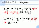 SK 브로드 밴드 광고 조사 5페이지