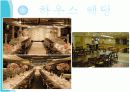 급식경영학 - 엠 치킨 마케팅 14페이지