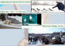 아사히야마 동물원의 창조적 혁신 13페이지