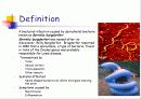 Lyme disease 3페이지