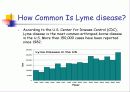 Lyme disease 5페이지