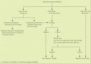Lyme disease 8페이지