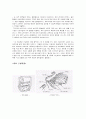 [자동차공학] 『ECS(Electronic control suspension system)와 TCS(Traction Control System)』에 대하여 22페이지