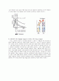 [자동차공학] 『ECS(Electronic control suspension system)와 TCS(Traction Control System)』에 대하여 25페이지