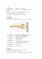 눈의 구조와 기능 4페이지