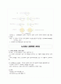 눈의 구조와 기능 6페이지