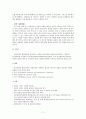 노무현 정부와 이명박 정부의 전자정부 비교. 11페이지