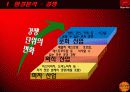 피자헛 마케팅 기획서 - 타깃 고객층 분석, 투스카니 파스타의 커뮤니케이션 전략,  BTL마케팅 5페이지