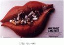 세계금연광고 캠페인 16페이지