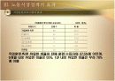 노동시장정책 25페이지