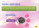 음식과 건강에 대한 PPT 4페이지