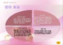 음식과 건강에 대한 PPT 8페이지