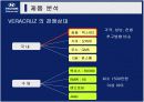 베라크루즈 홍보기획서 15페이지
