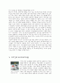 포스트모더니즘의 정의와 특성, 영역별 포스트모더니즘 9페이지