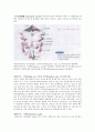 인두낭(咽頭囊, pharyngeal pouch) 1페이지