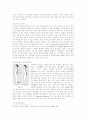 요통의 원인과 운동처방 8페이지