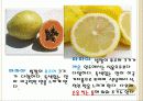 인도의 음식문화 33페이지