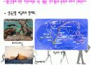 다윈의 진화론 4페이지