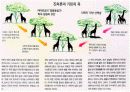 다윈의 진화론 6페이지
