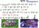 다윈의 진화론 11페이지