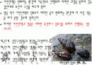 다윈의 진화론 13페이지
