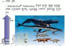 다윈의 진화론 16페이지