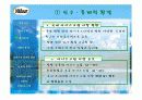 나뚜루 분석(마케팅 자료) 6페이지
