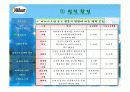 나뚜루 분석(마케팅 자료) 10페이지