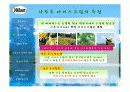 나뚜루 분석(마케팅 자료) 13페이지