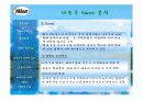 나뚜루 분석(마케팅 자료) 22페이지