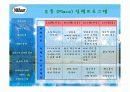 나뚜루 분석(마케팅 자료) 43페이지