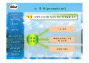 나뚜루 분석(마케팅 자료) 44페이지