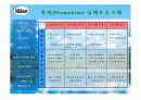 나뚜루 분석(마케팅 자료) 48페이지