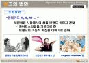 현대카드의 시장세분화에 따른 차별화 전략 분석  22페이지