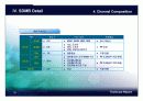DMB (Digital Multimedia Broadcasting) 19페이지