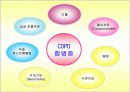 COPD(만성 폐쇄성 폐질환)  28페이지