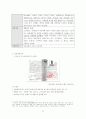 일본의 역사교과서 왜곡문제의 실태와 그 대응방안 13페이지