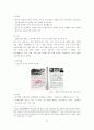 일본의 역사교과서 왜곡문제의 실태와 그 대응방안 20페이지
