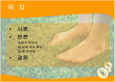 발에대한질병 2페이지
