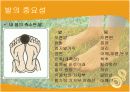 발에대한질병 6페이지