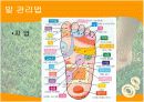 발에대한질병 16페이지