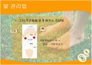 발에대한질병 19페이지