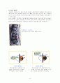 척추협착증(spinal stenosis) - 척추의 구조, 관련된 증상,ㄷ 대상자 적용, 연구기간 및 방법 6페이지