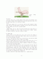 수육류 이용실태와 조리 특성 10페이지