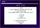 중소기업 MIS 평가 문제점 대안 2페이지