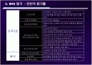 중소기업 MIS 평가 문제점 대안 13페이지