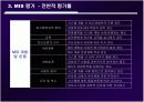 중소기업 MIS 평가 문제점 대안 14페이지