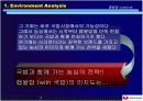 농심 햅쌀밥 크리에이티브 전략 및 마케팅 전략 7페이지