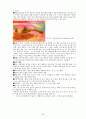 [사범/법학] 발도르프 교육 [분석/조사] 26페이지